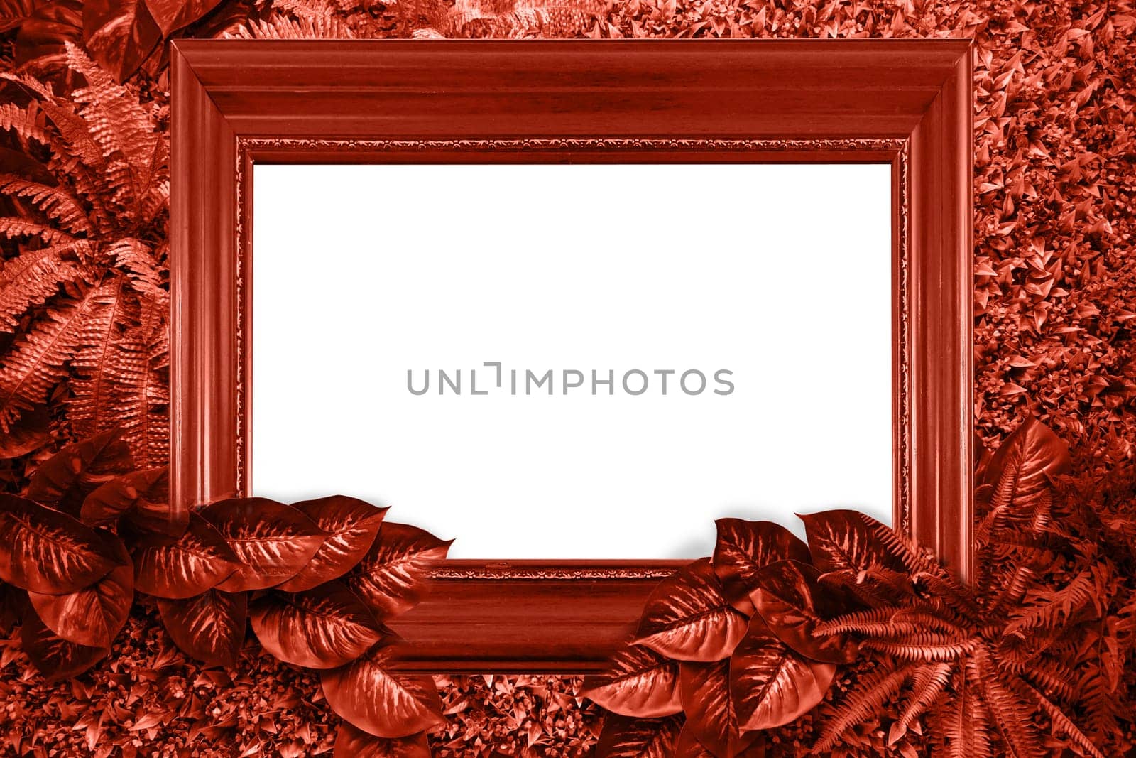 Living coral color background from leaves and white blank for your design or text. Pantone color of the year 2019.