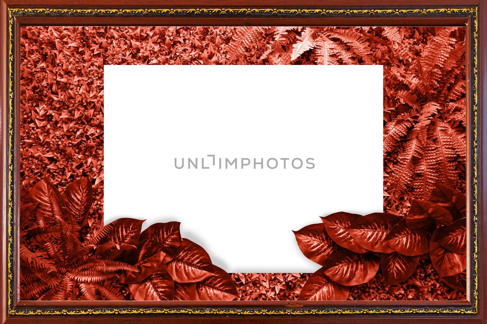 Living coral color background from leaves and white blank for your design or text. Pantone color of the year 2019.