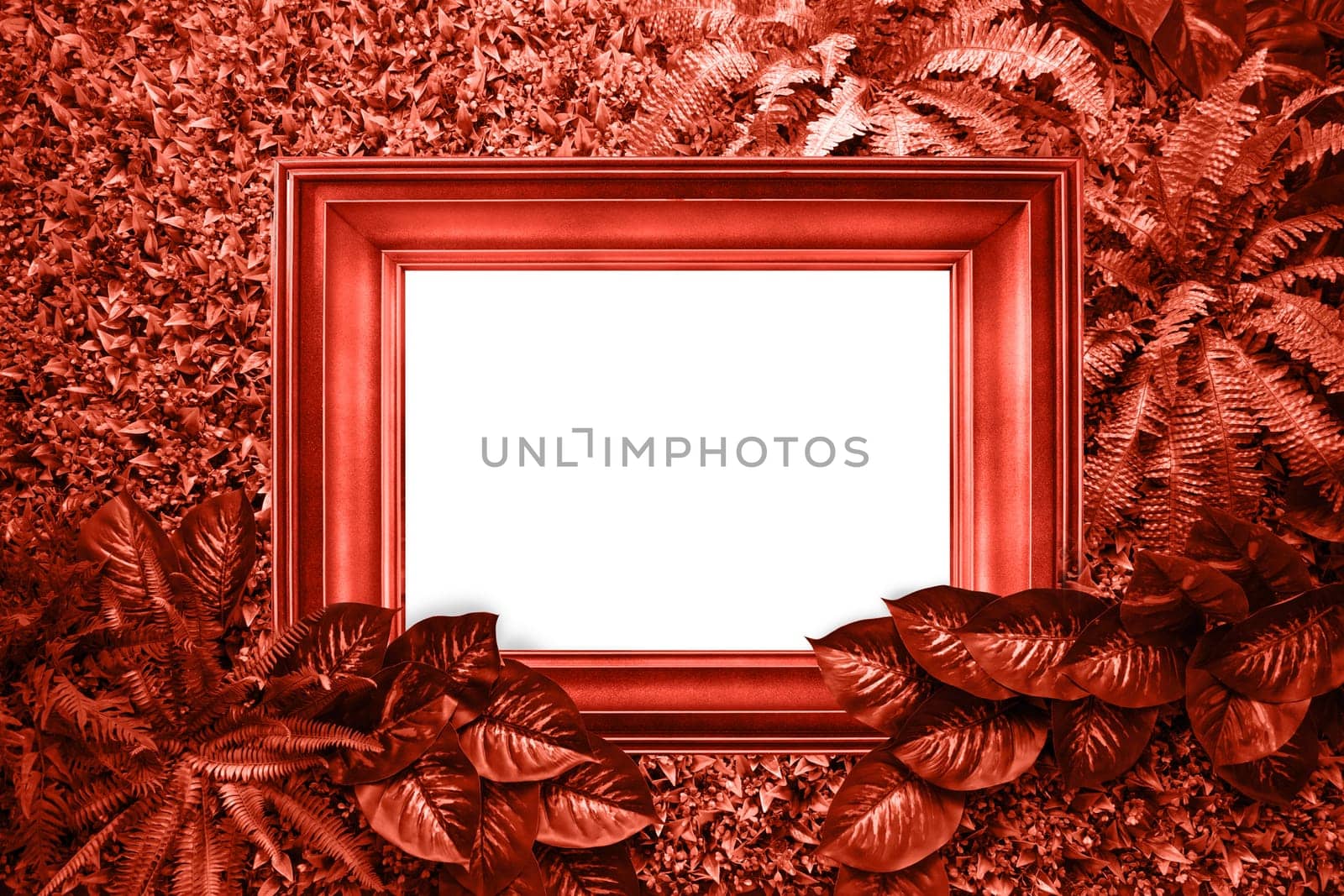 Living coral color background from leaves and white blank for your design or text. Pantone color of the year 2019.