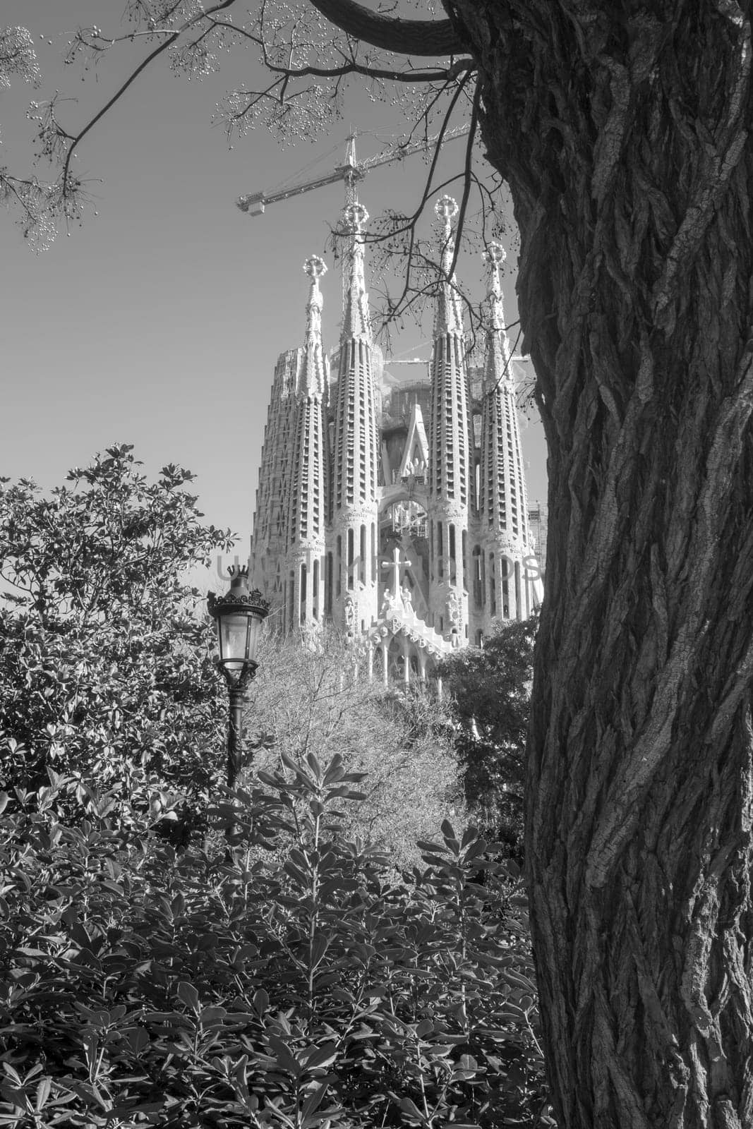 A glimpse of unfinished Gaudi's masterpiece: La Sagrada Familia, iconic landmark in Barcelona, Catalonia, Spain. UNESCO World Heritage Site. Black and white image.
