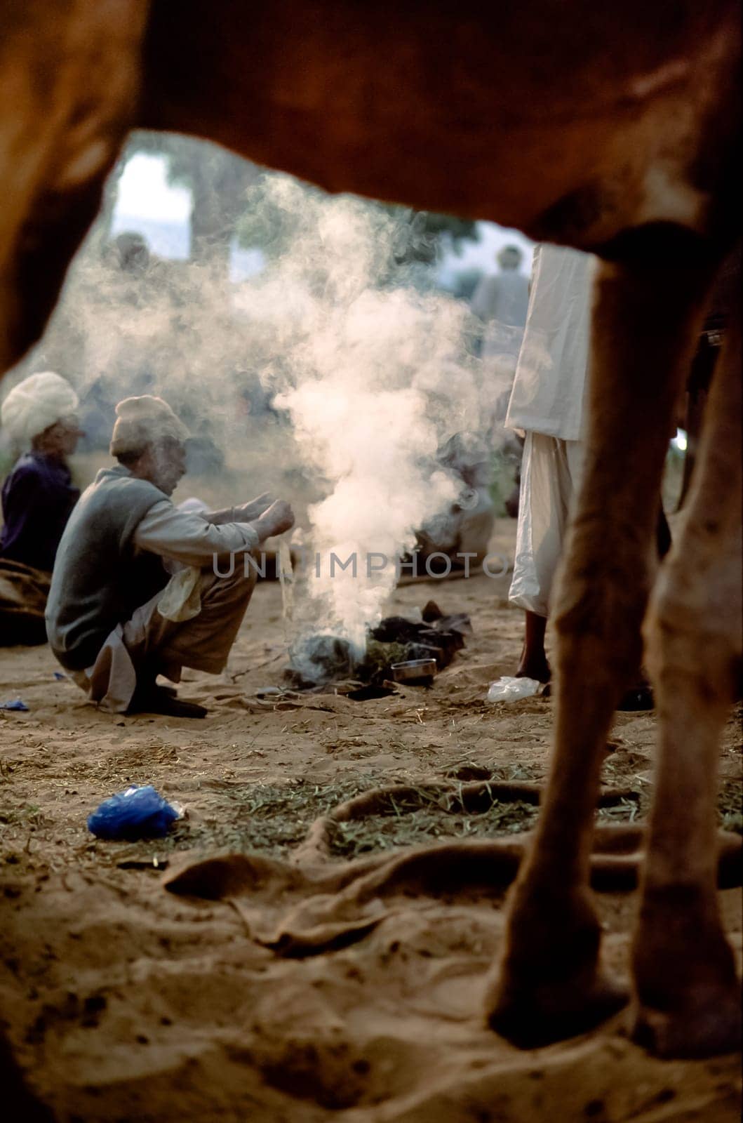 A blurred camel body part sits in foreground while an in focus the encampment of indian herders, Pushkar Camel Fair in Rajasthan, India
