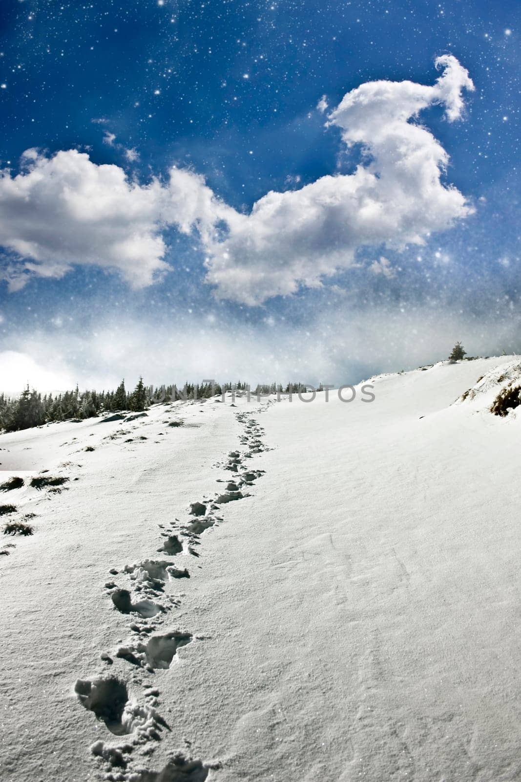 Footpath on the snow covered mountain