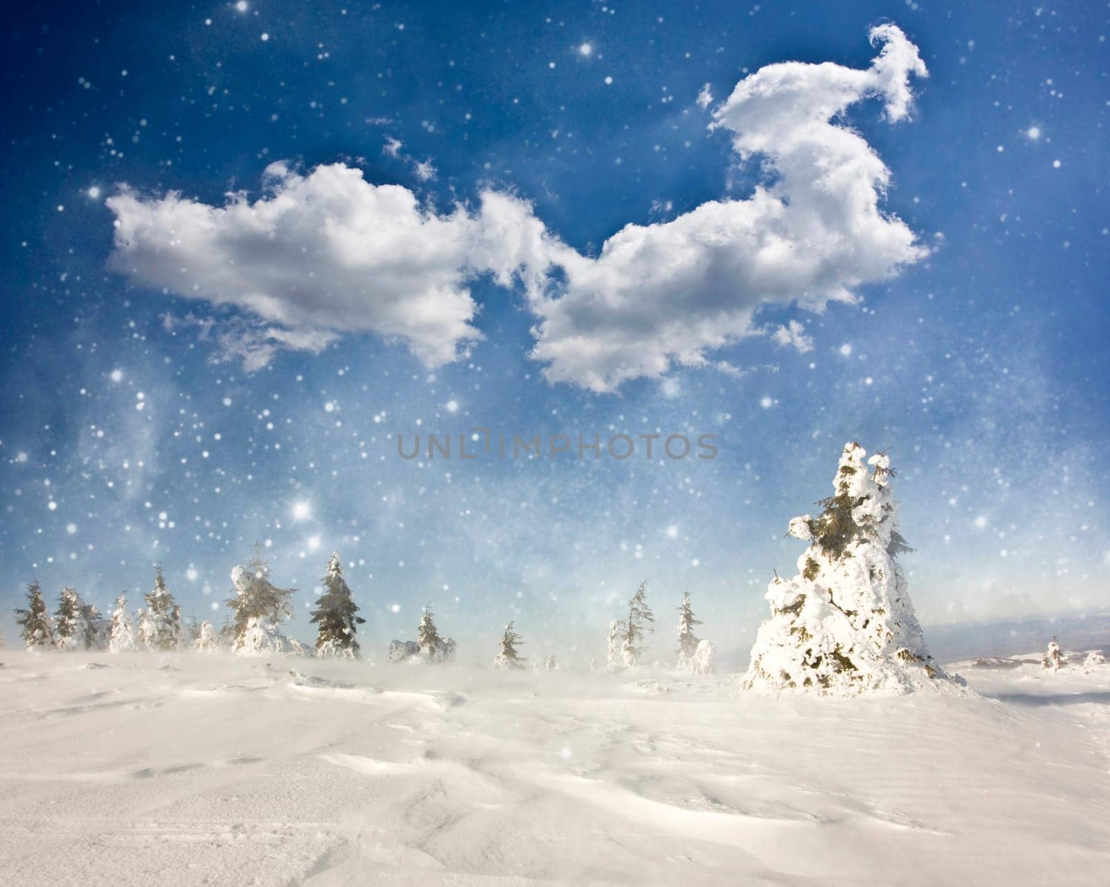 Christmas background with snowy pine forest