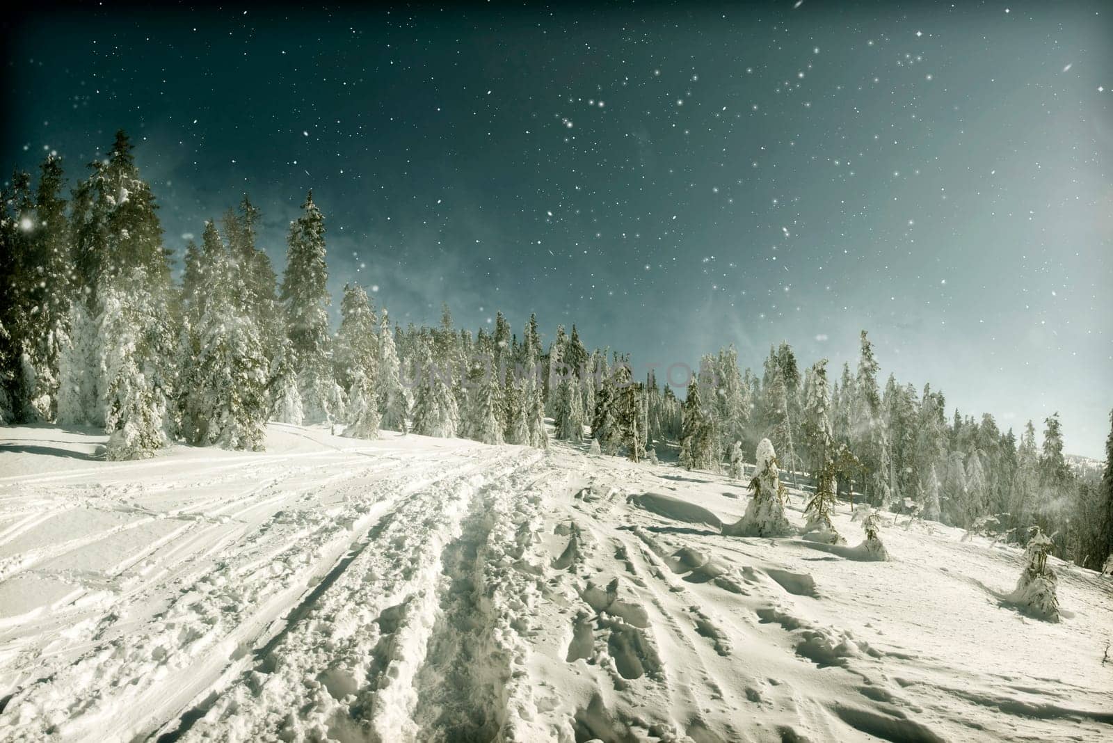 Christmas background with snowy path in the forest