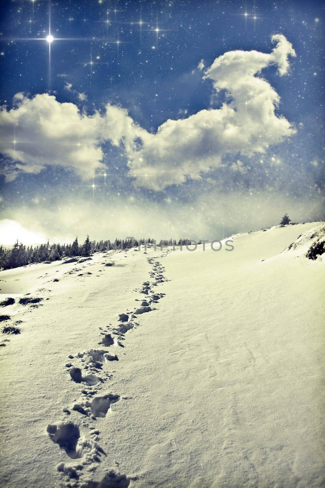 Footpath on the snow covered mountain