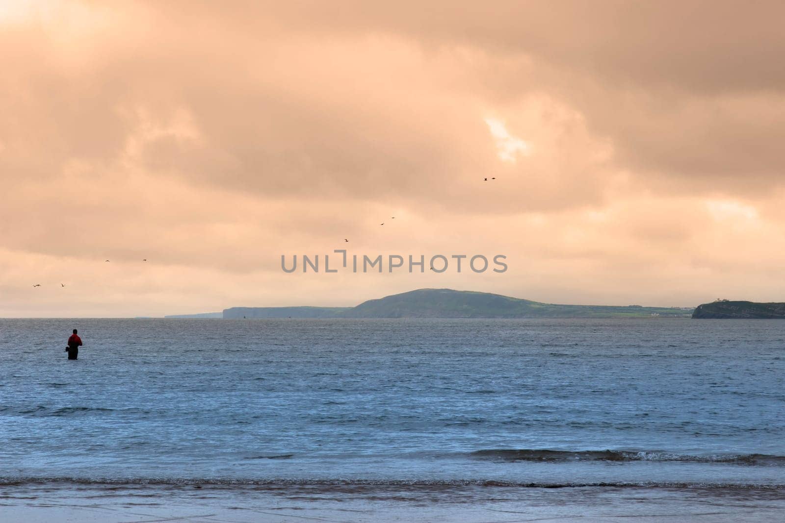 lone fisherman wading in the river Shannon county Kerry Ireland