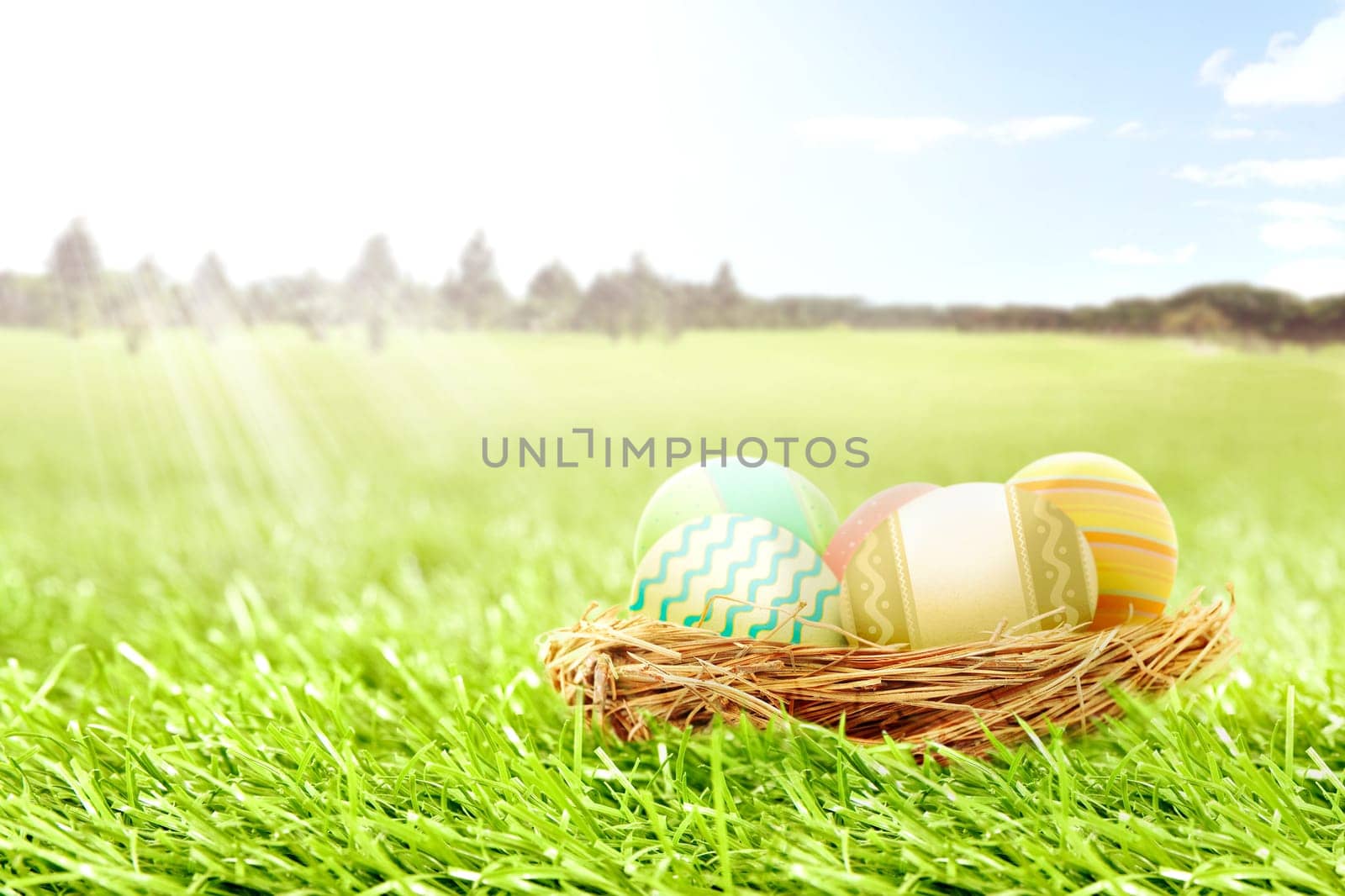 Colorful easter eggs in the nest on the grass field with trees and blue sky background. Happy Easter