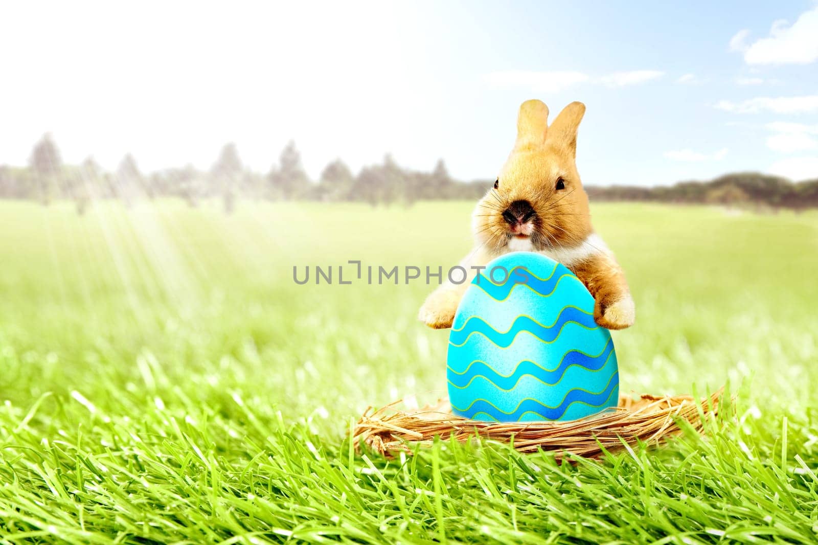 Little bunny holding colorful easter egg in the nest on the grass field with trees and blue sky background. Happy Easter