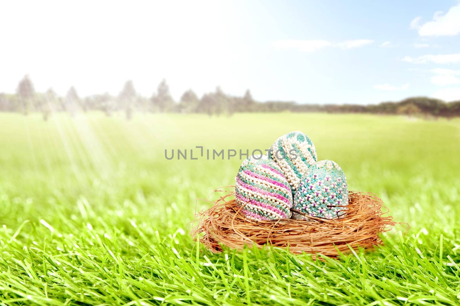 Colorful easter eggs in the nest on grass field with trees and blue sky background. Happy Easter