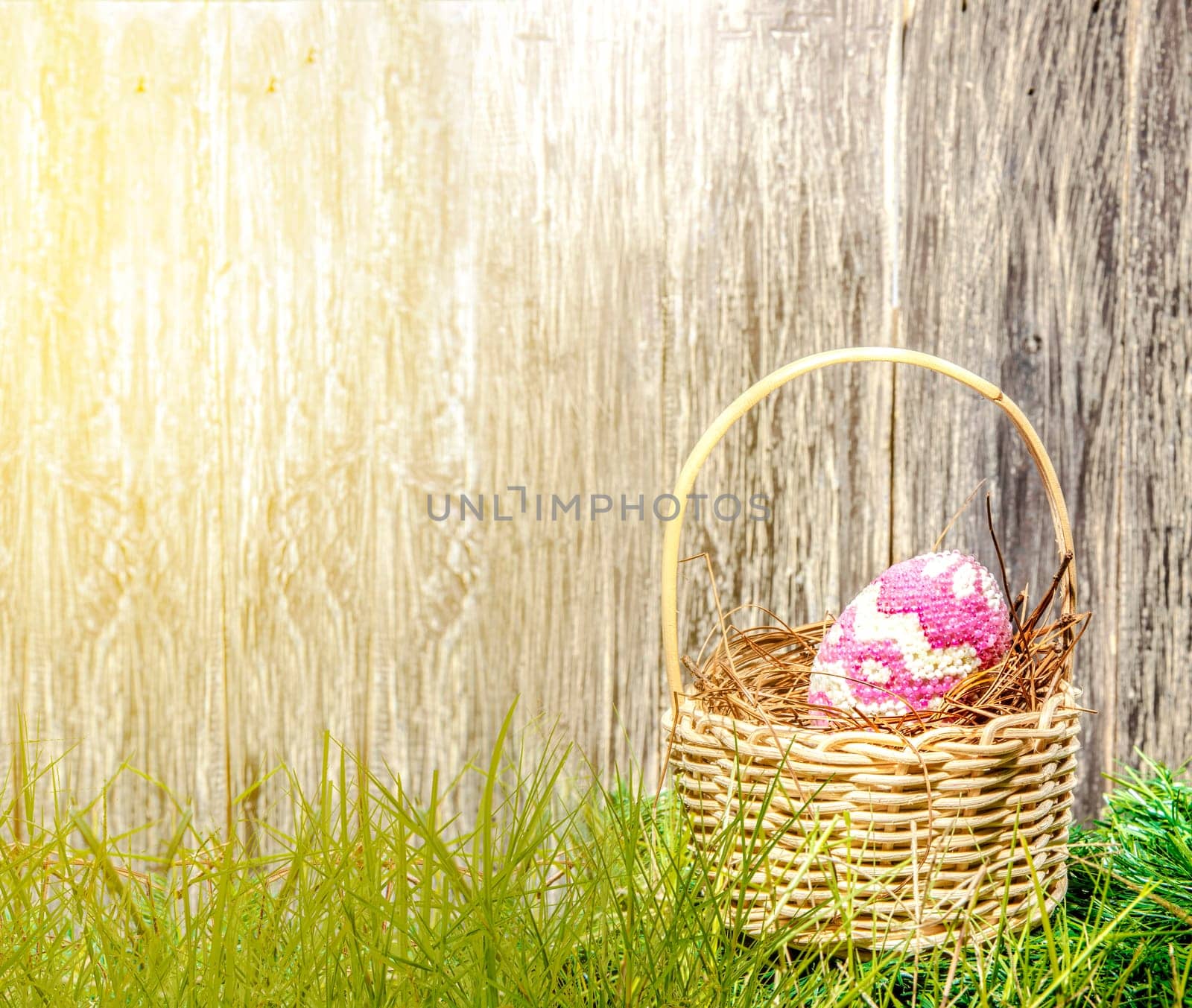 Colorful easter egg in the nest on wooden basket at the green grass with sunlight and wooden fence background. Happy Easter