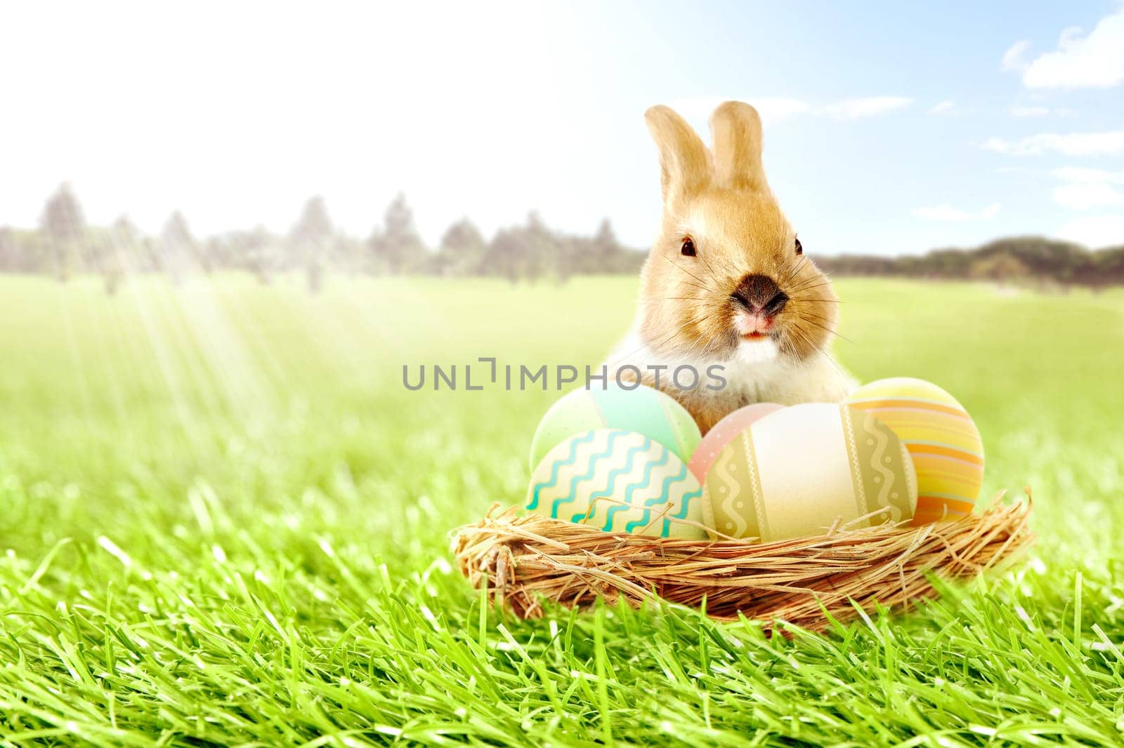 Colorful easter eggs in the nest and little bunny on the grass field with trees and blue sky background. Happy Easter