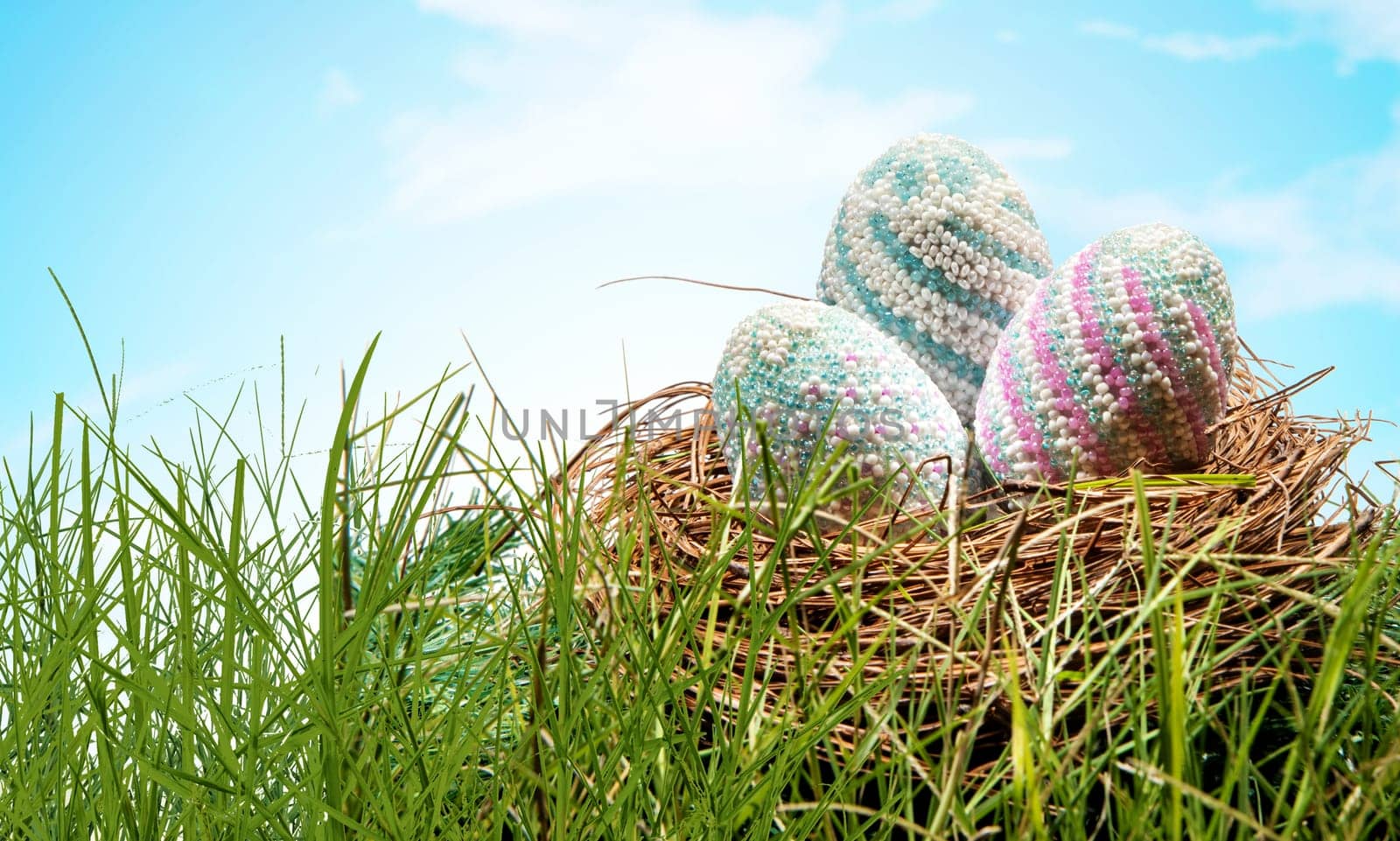 Colorful easter eggs in the nest on the green grass with blue sky background. Happy Easter