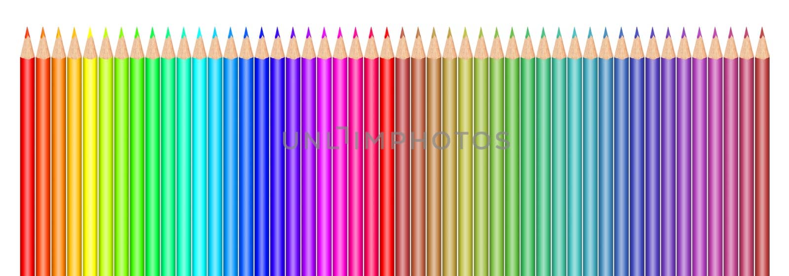 Multi colored pencils on white background