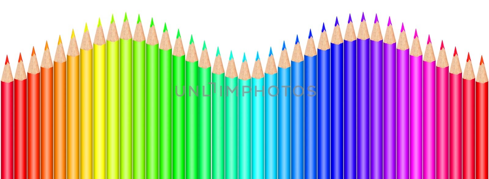 Multi colored pencils on white background