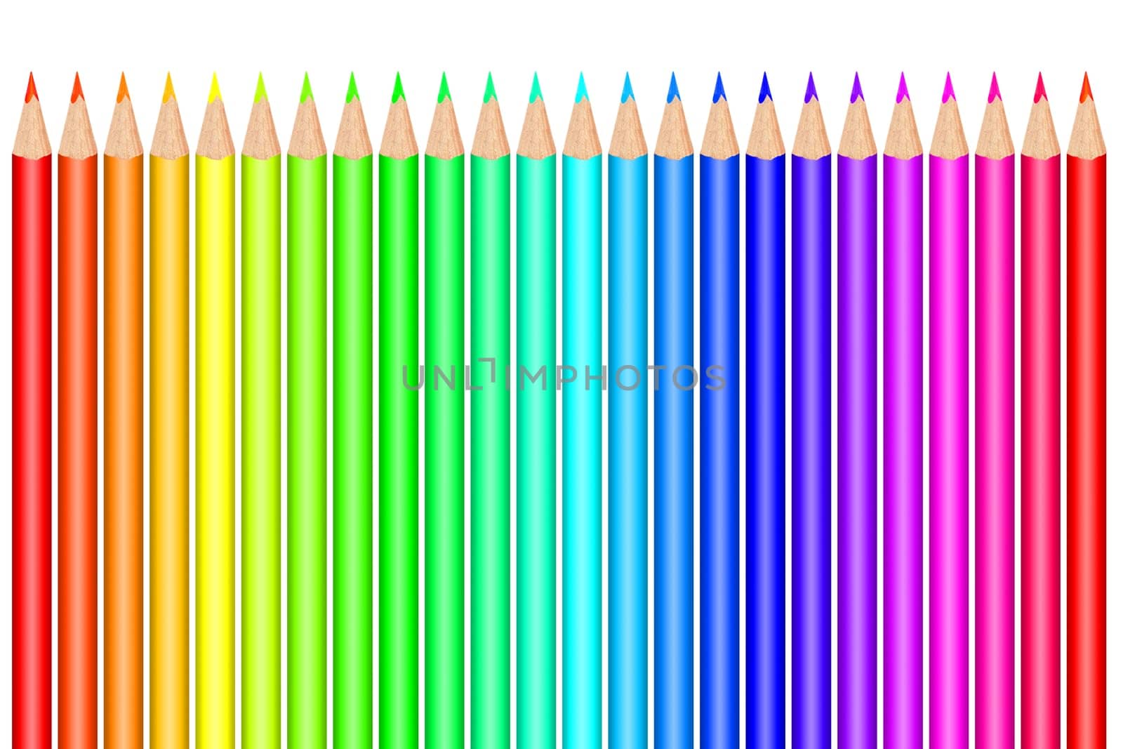 Multi colored pencils on white background