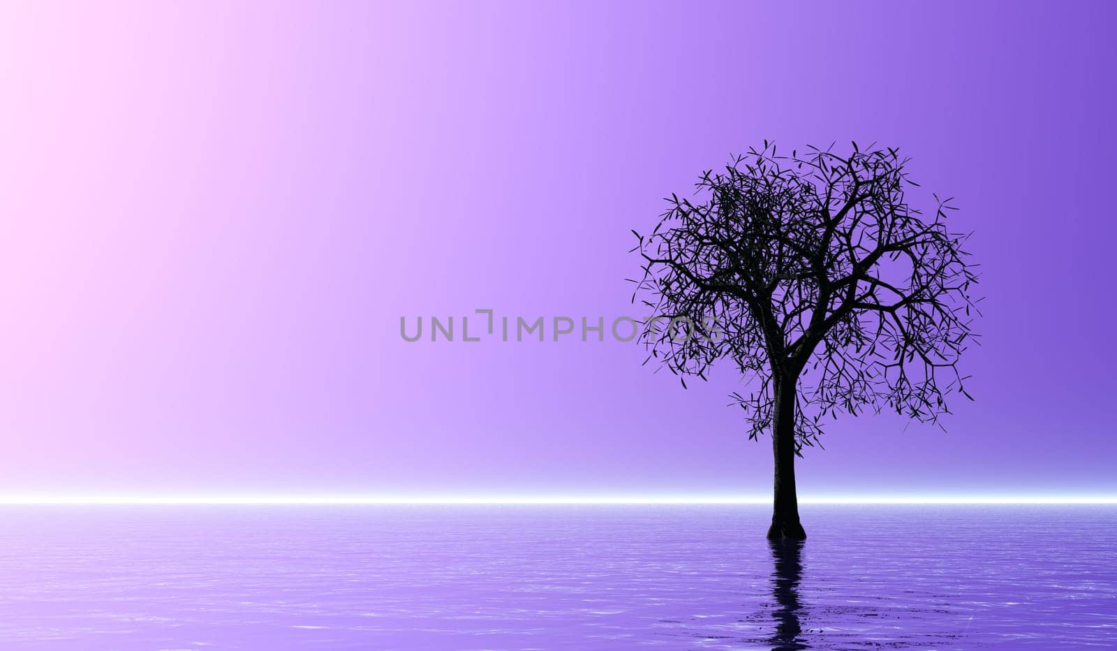Tree silhouette on water