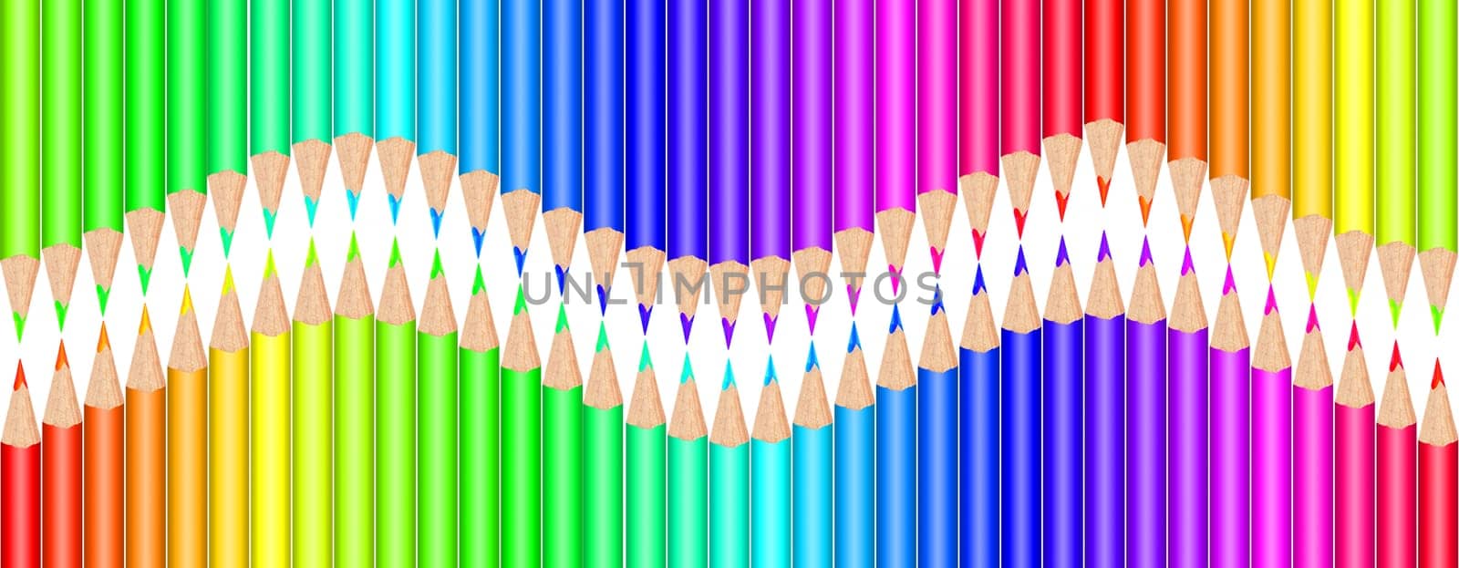 Multi colored pencils on white background