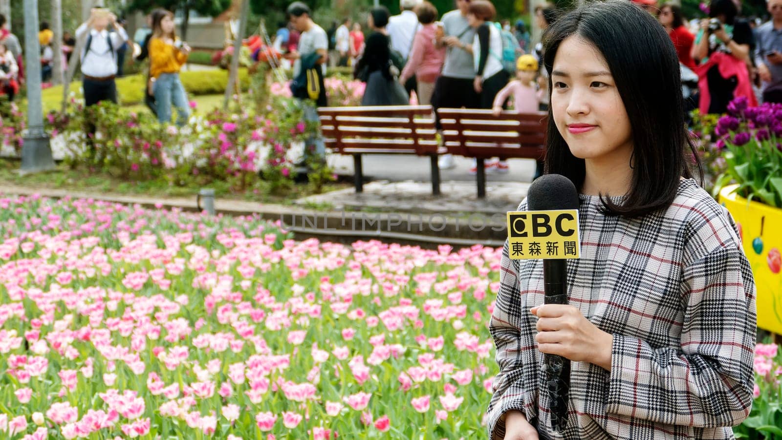 Taipei Shilin official residence, Taiwan - 21 Feb, 2019: 2019 Shilin official residence tulip exhibition, Taipei, Taiwan