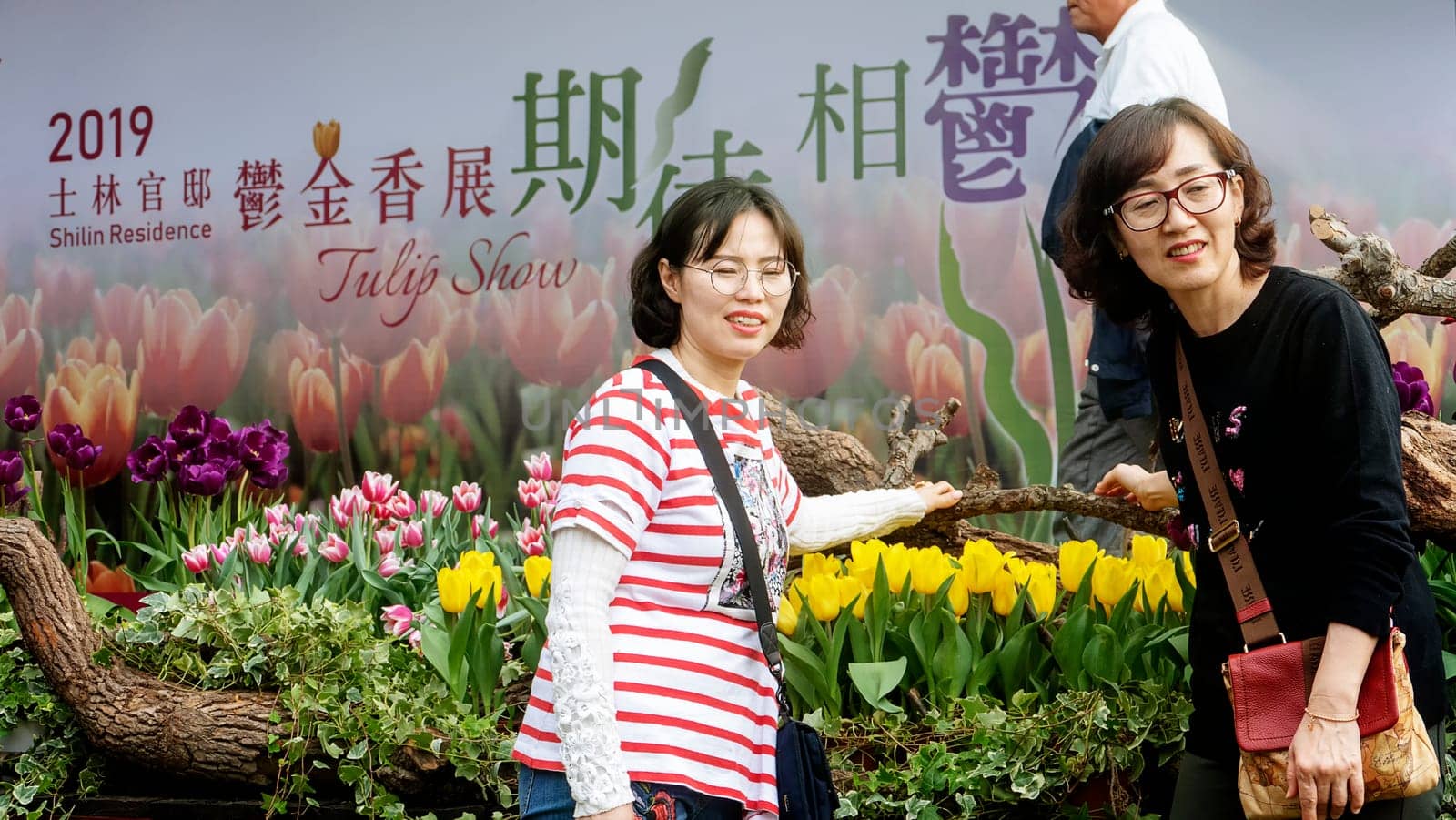 Taipei Shilin official residence, Taiwan - 21 Feb, 2019: 2019 Shilin official residence tulip exhibition, Taipei, Taiwan