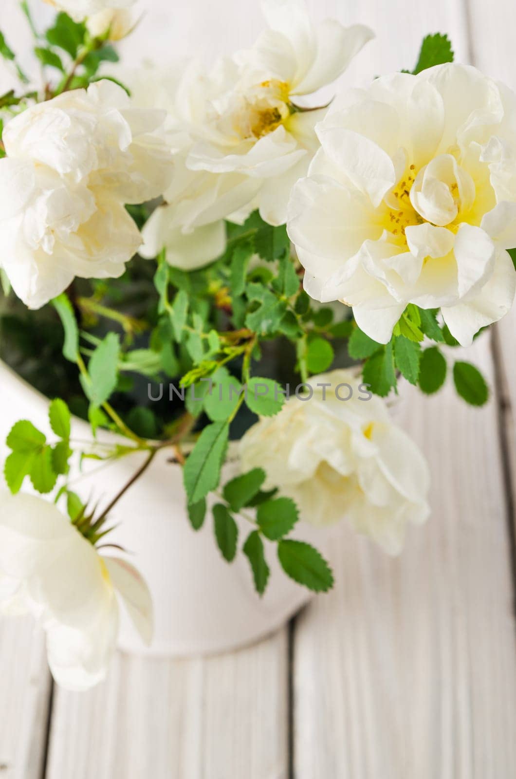 Bouquet of white garden roses, close-up