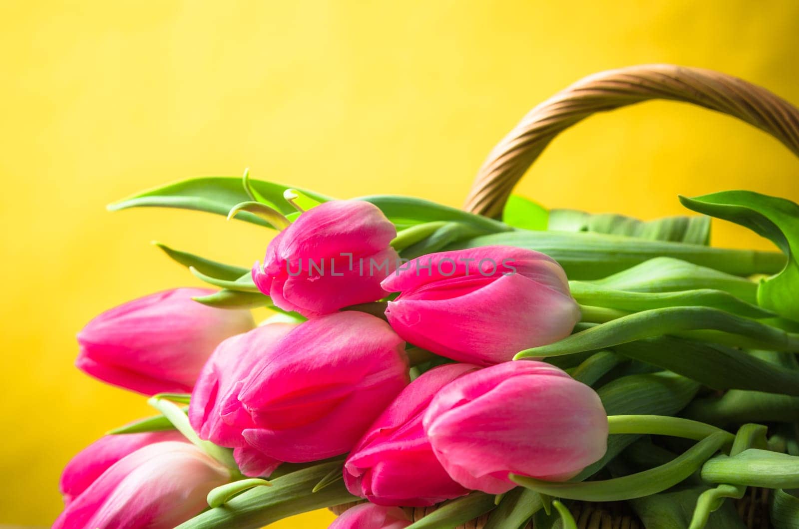 Beautiful bouquet of pink tulips in a wicker basket