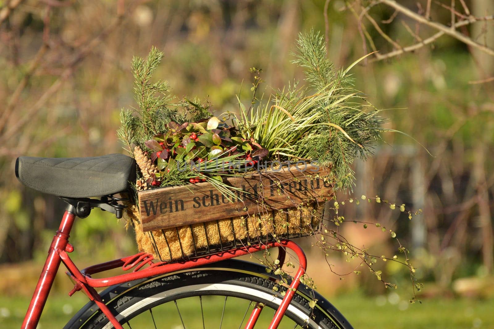 Wine bottles Wooden box filled with flowers stands on a bicycle rack with the German inscription 'Wine gives happiness'