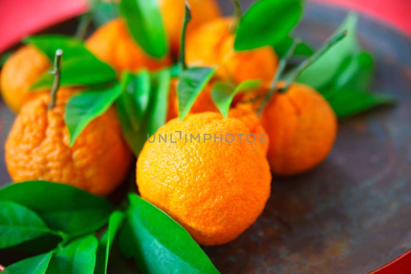 Fresh tangerines with room for text