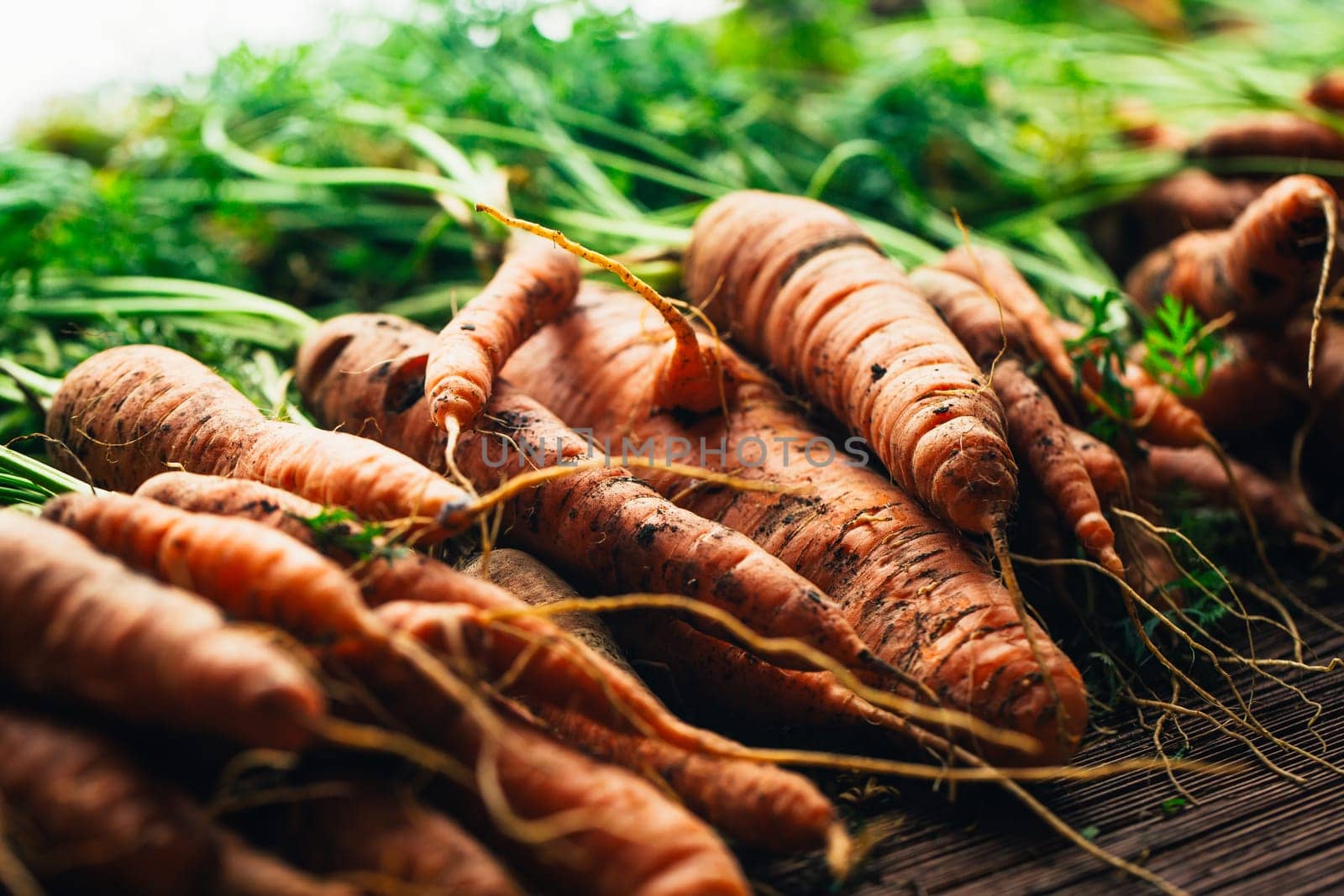 Fresh carrots close-up on a wooden background.