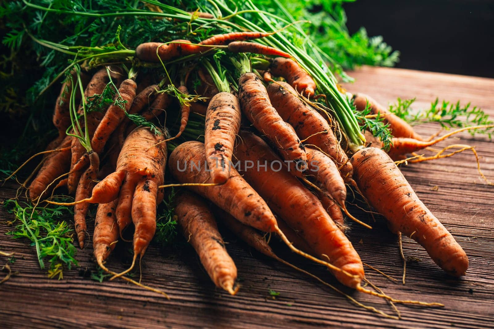 Fresh carrots from the garden close-up on a wooden background.