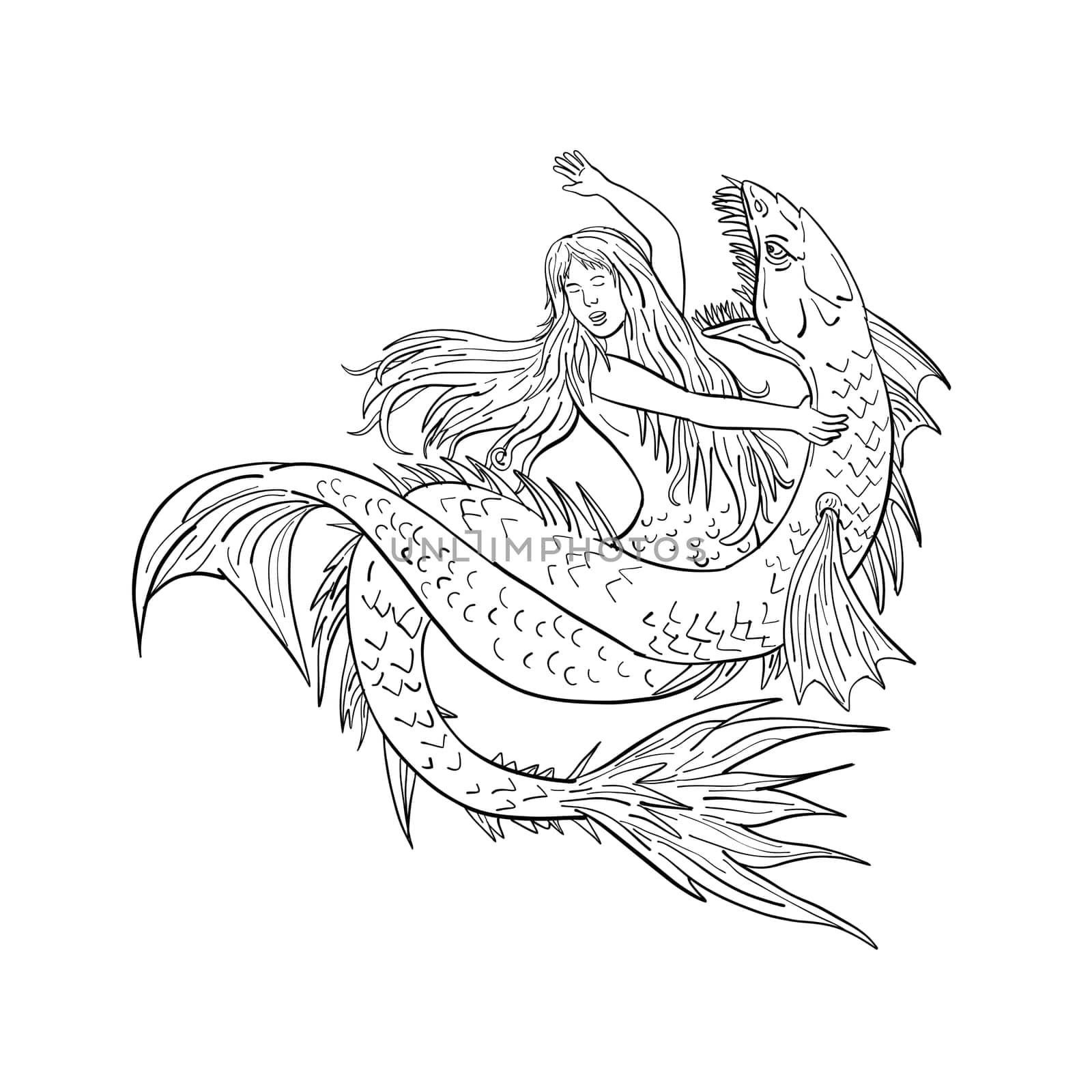 Drawing sketch style illustration of a a mermaid or siren fighting or grappling with a sea serpent or monster on isolated white background in  black and white.