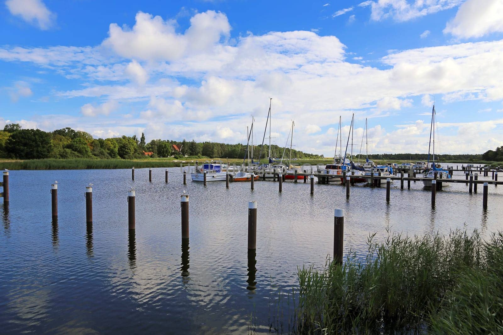 A morning in the port of Prerow