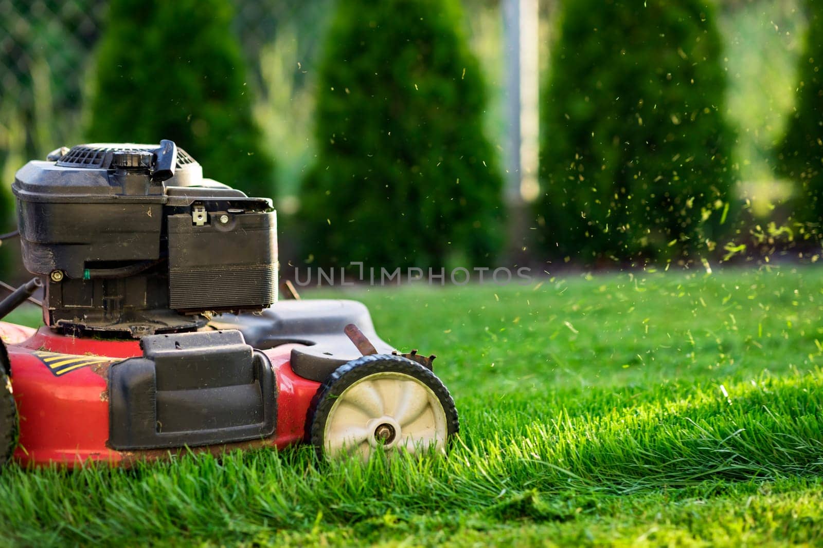 Lawn mower cutting green grass