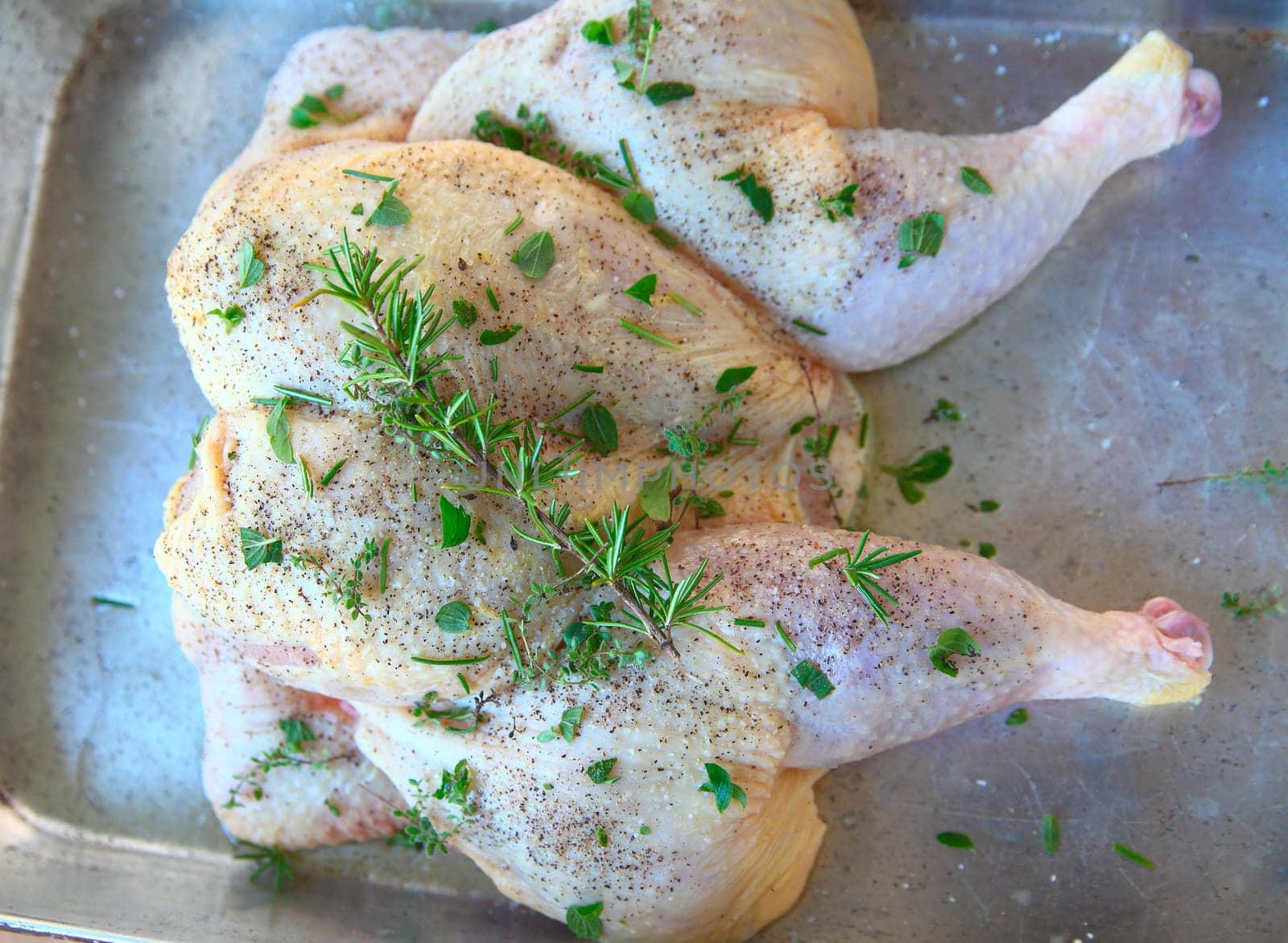 Overhead view of raw chicken butterflied and seasoned with fresh herbs