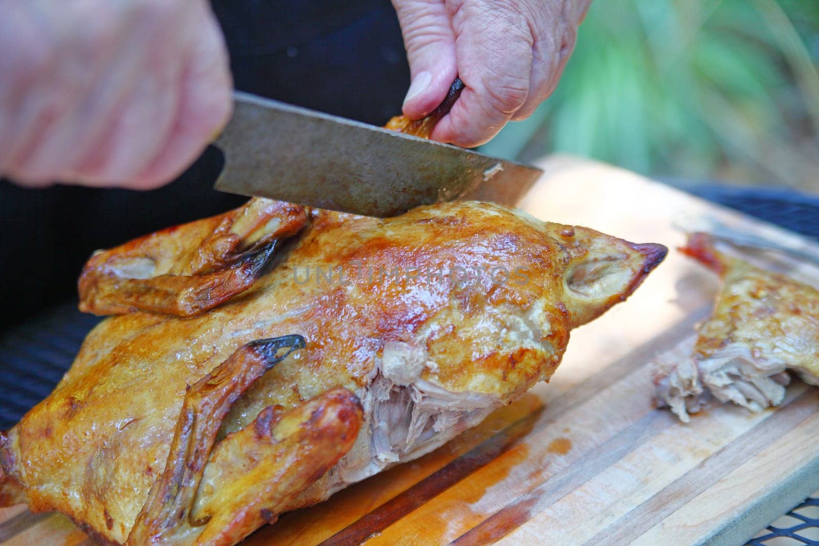 A man cuts leg of roast duck outdoors.