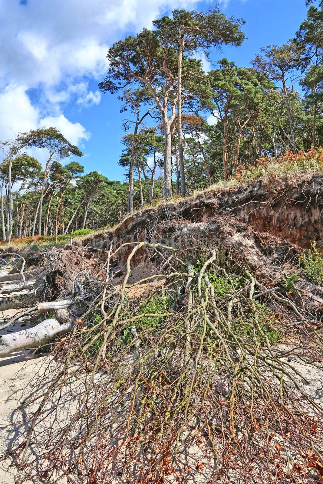 Demolition at Darßer Weststrand
