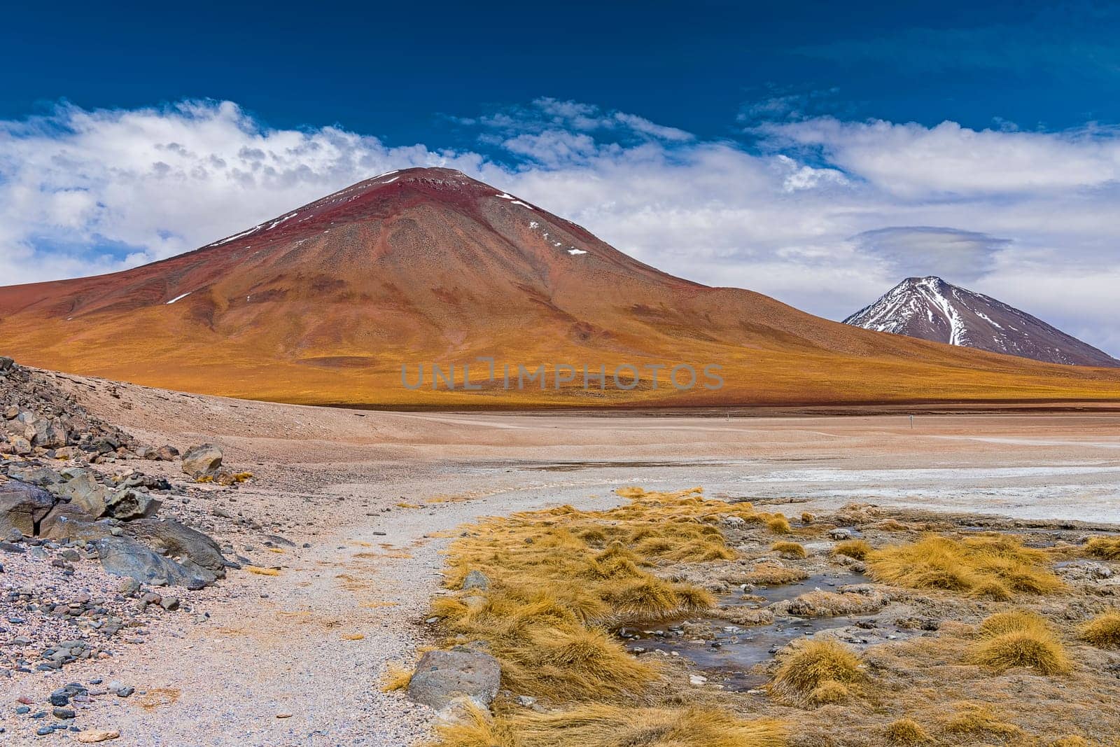 On the edge of Laguna Blanca,4,331 m altitude,Andina Eduardo Abaro National Park,Altiplano,Potosí Department,Bolivia