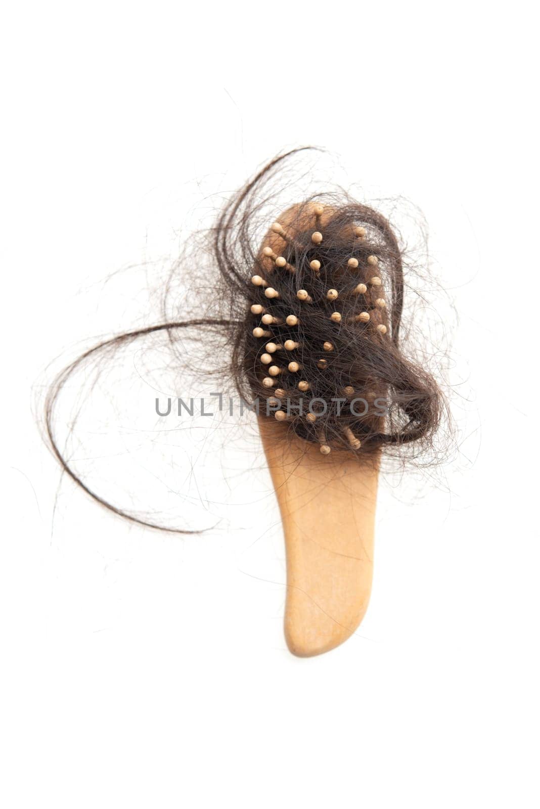 Hairloss problem. Flat lay comb with lost hair on it, isolated on white background.