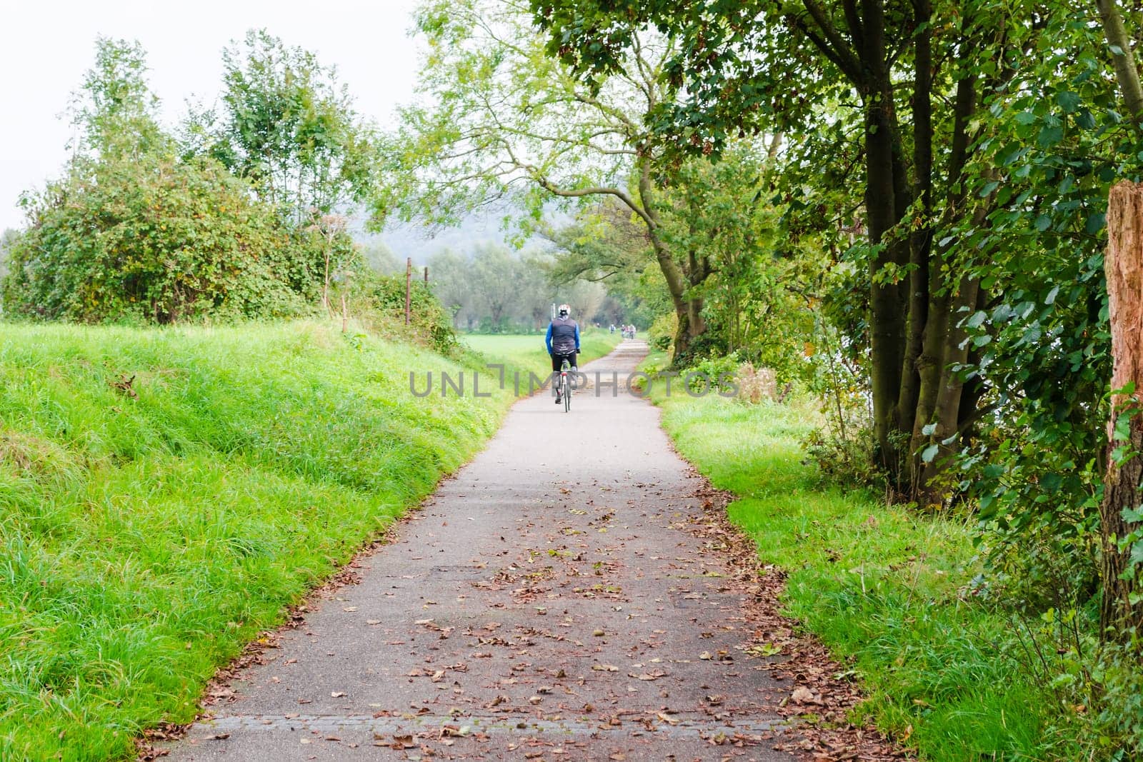 ESSEN, GERMANY - SEPTEMBER 30, 2014: .Group of older men cycling on the promenade of the river Ruhr near Essen Werden towards Kettwig..