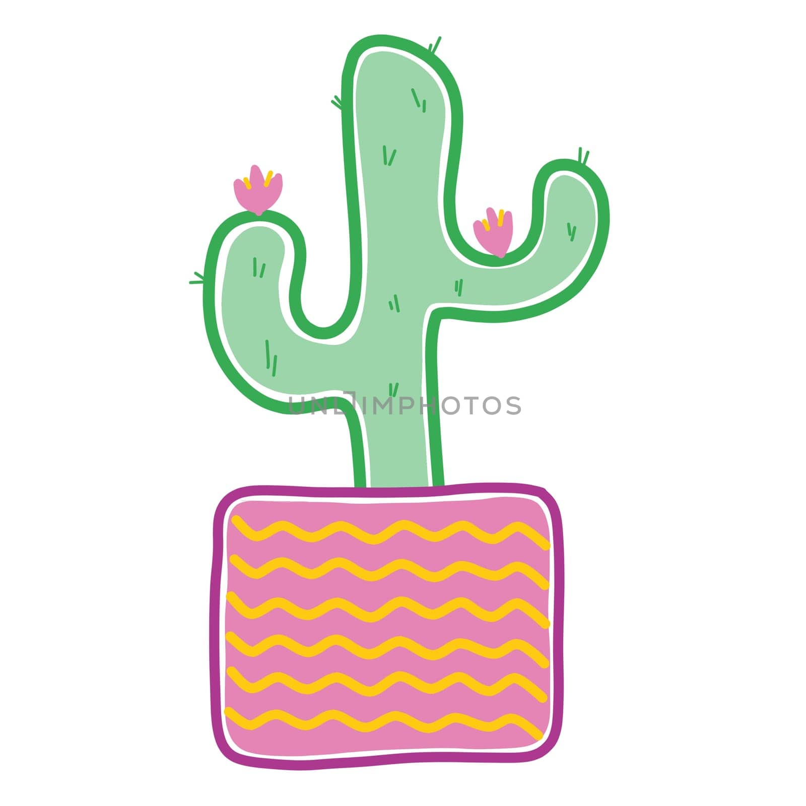 Pretty various cactus, in decorated pots.