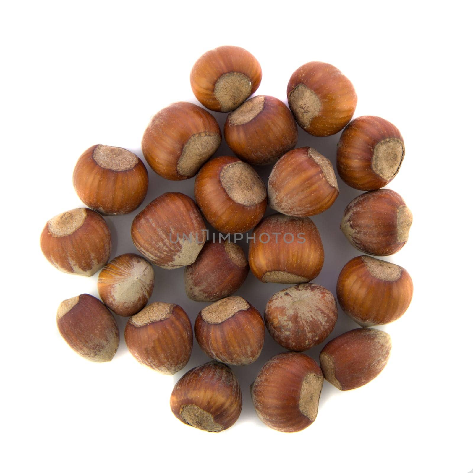 Group of natural hazelnuts on white background