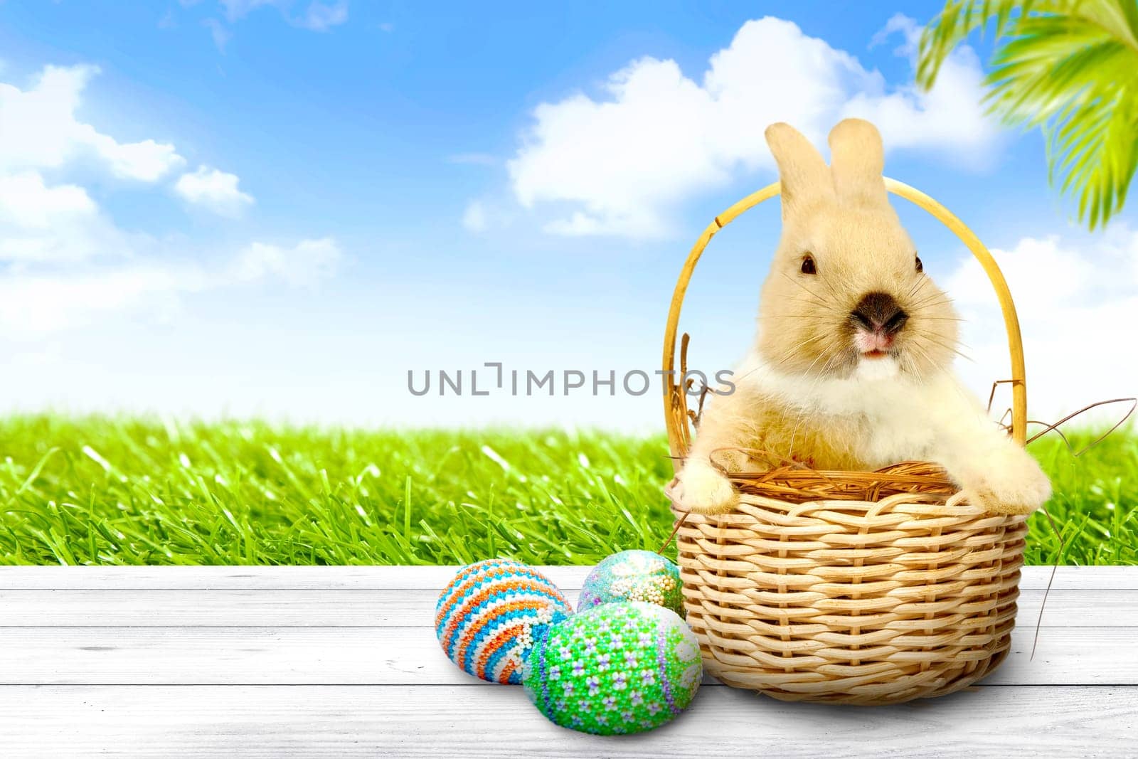 Little bunny on the nest in wooden basket and colorful easter eggs on wooden table with palm branch and green grass view over blue sky background. Happy Easter
