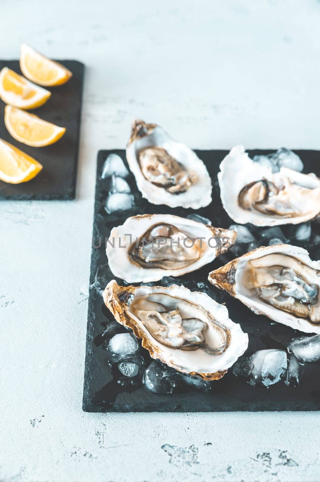 Raw oysters on the slate board close-up