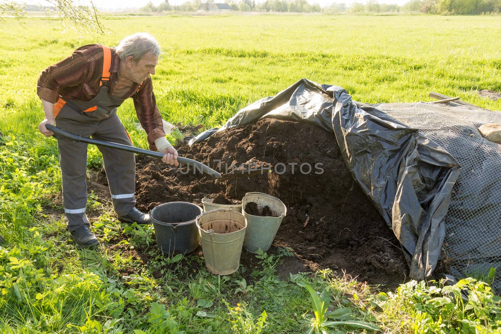 old man working in garden. putting organic fertilizer in buckets.