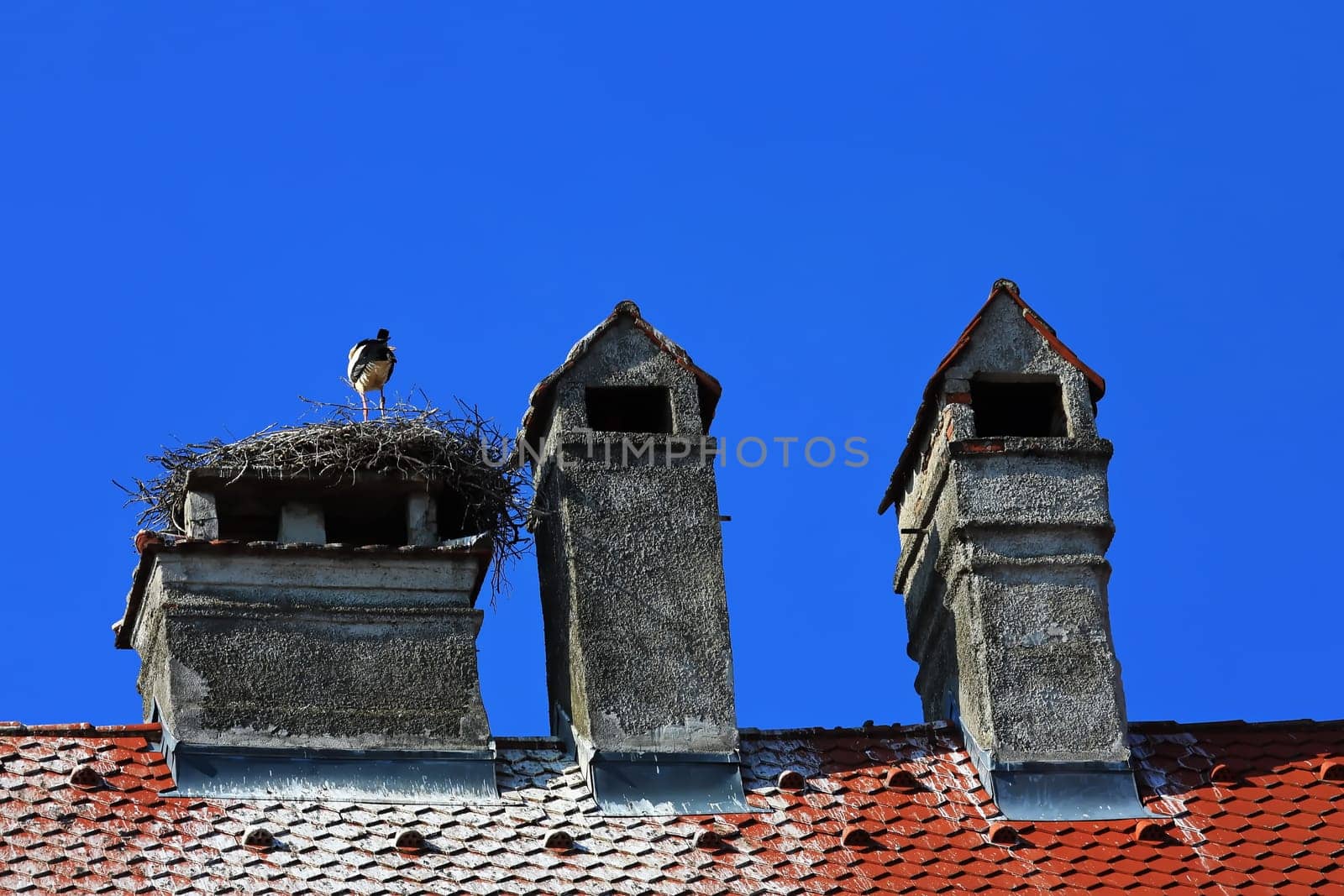 Storchennest Memmingen is a city in Bayern/Germany with many historical attractions