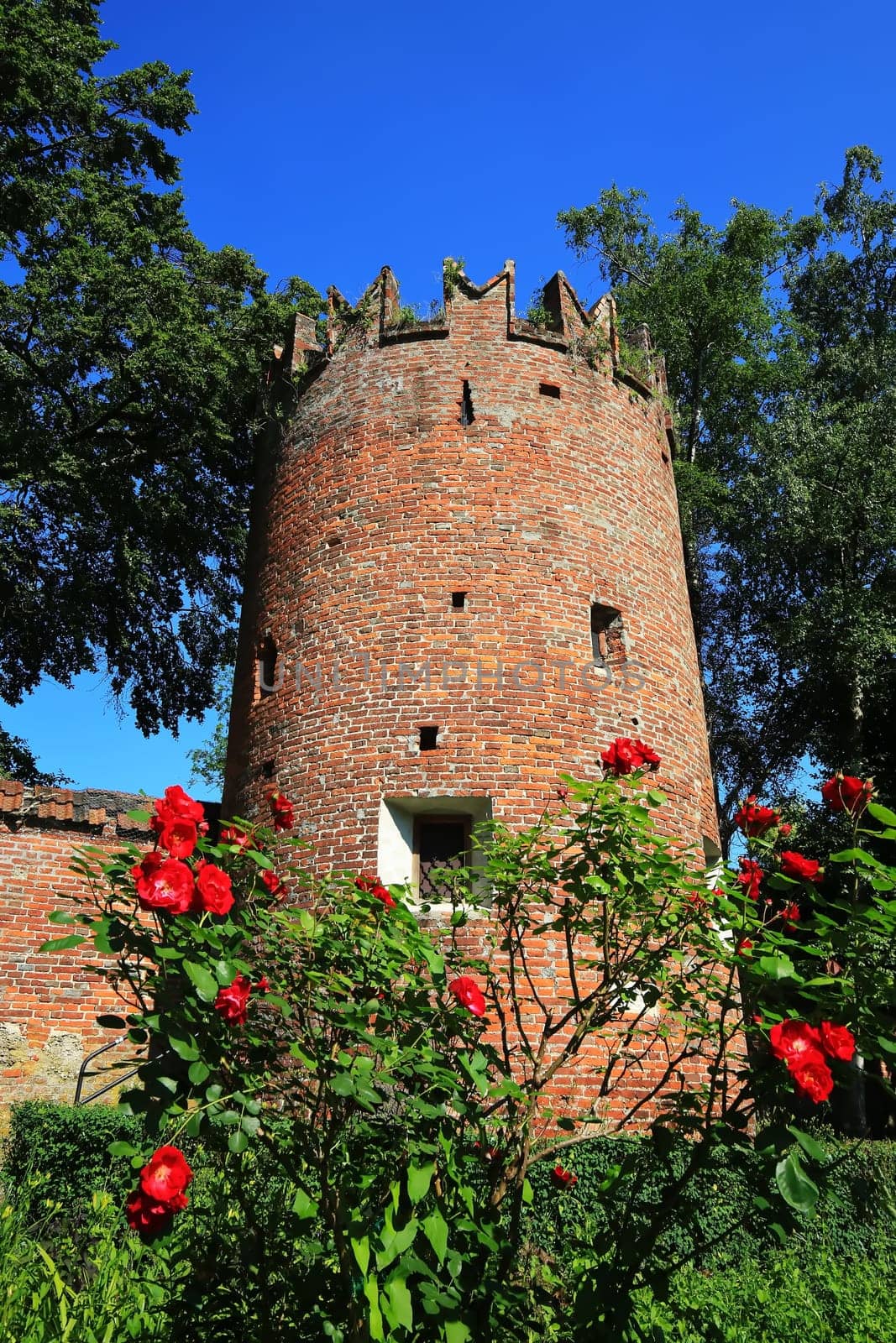 Schwalbenschwanzturm mit Rosen Memmingen is a city in Bayern/Germany with many historical attractions