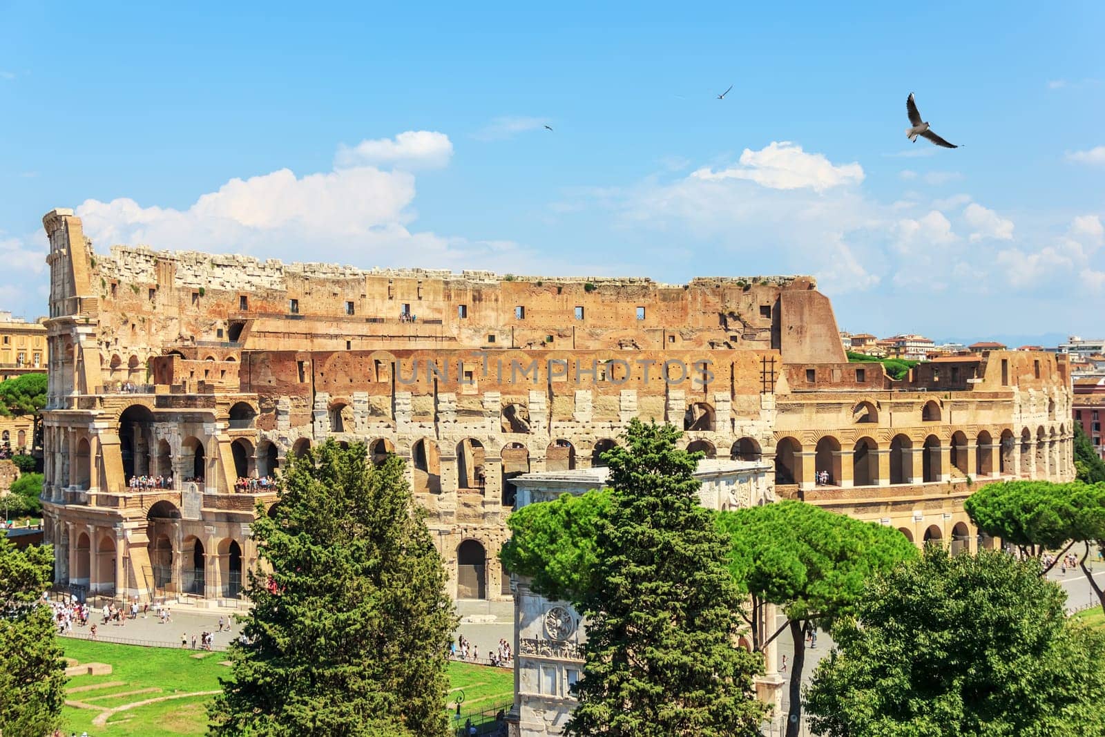 Coliseum in Rome and the Arch of Constantine, summer view, Italy.