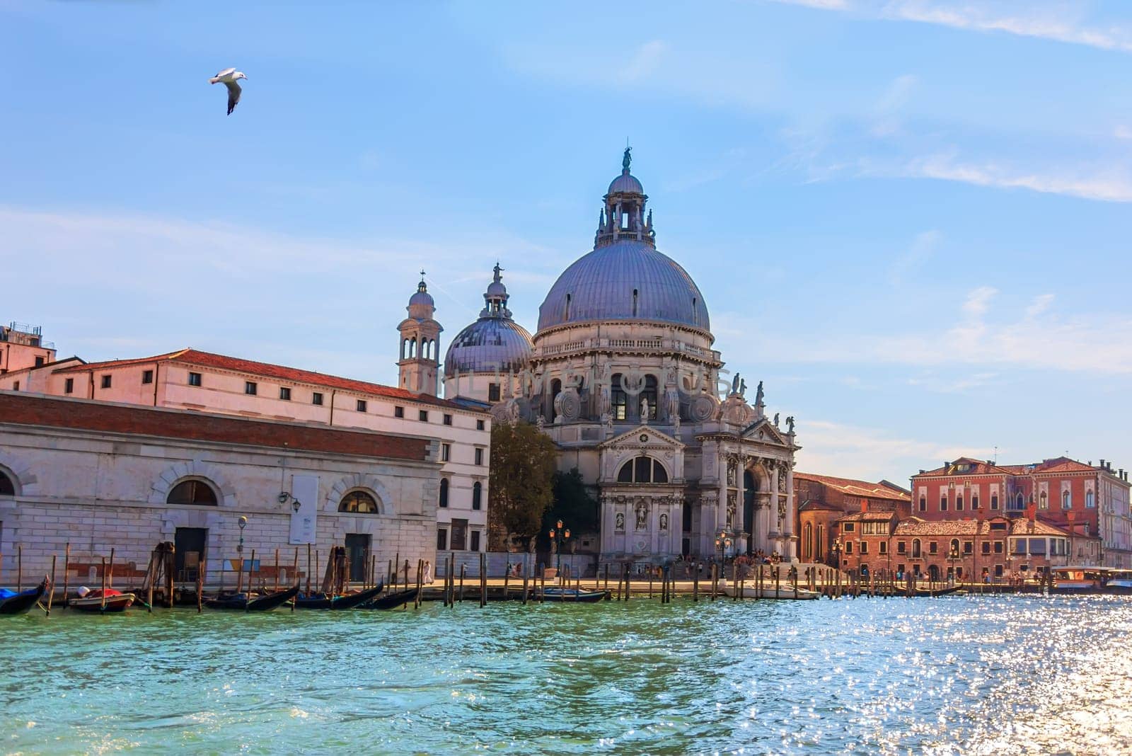 Basilica of Santa Maria della Salute in Grand Canal of Venice.