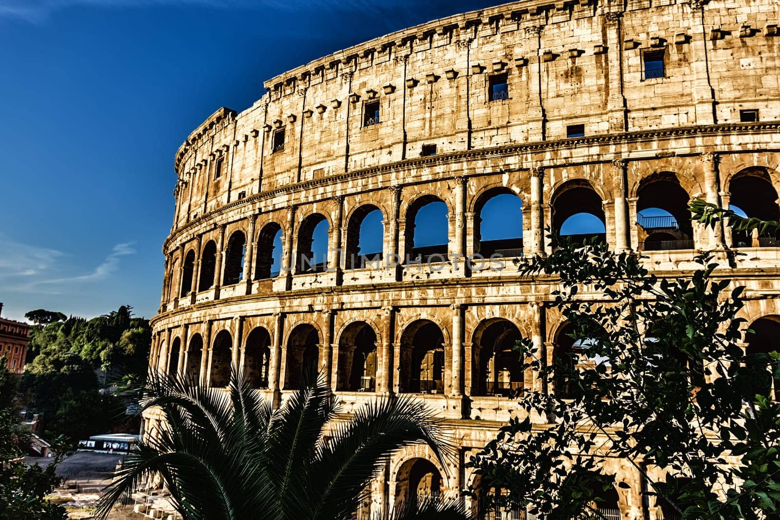 The Coliseum close view in a sunny summer day, Rome, Italy.