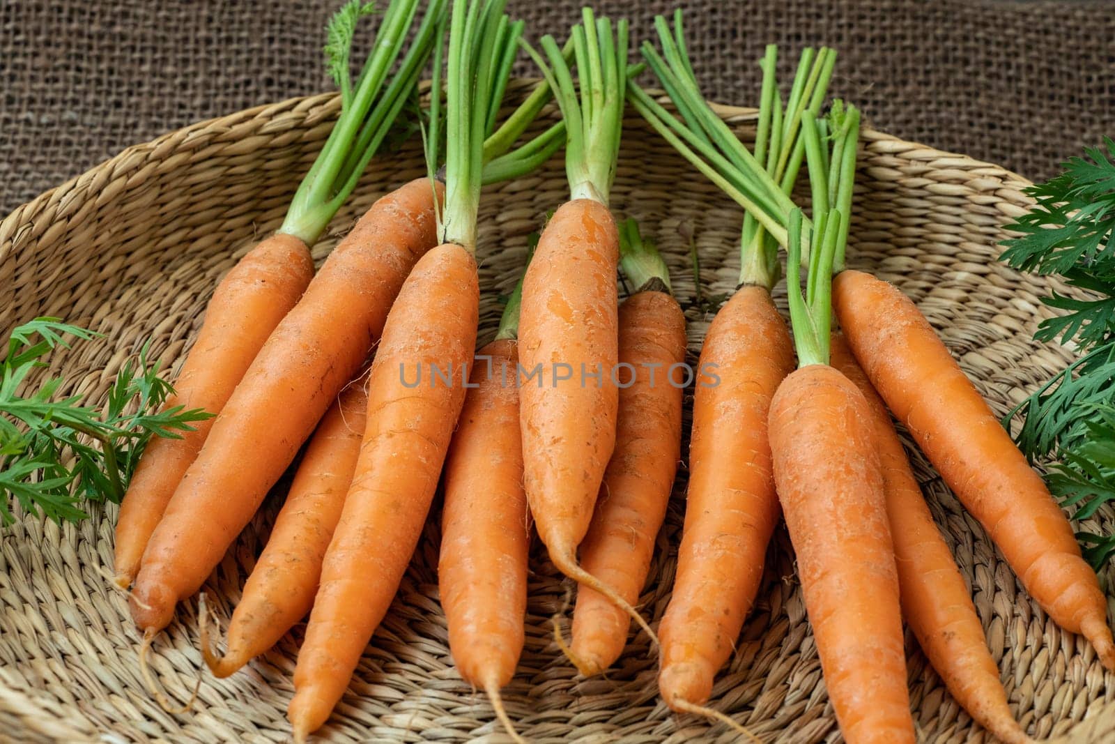 Fresh carrot in a basket, root vegetable. Healthy food.