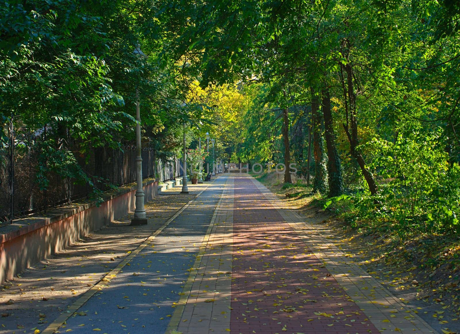 Red bricks pathway in Palic park, Serbia